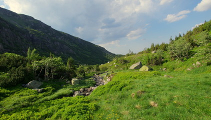 Zielona dolina w polskich górach, łąka porośnięta trawą w Karkonoszach, paśmie Sudetów koło Karpacza