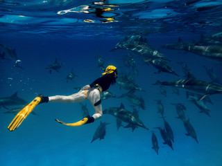 A moman freediver with the big school of dolphins