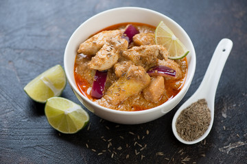 Thai massaman curry with chicken meat served in a white bowl, studio shot, selective focus