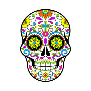 Mexican Sugar skulls, Day of the dead vector illustration on white background 