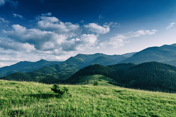 Carpathian mountains summer landscape with blue sky and clouds, natural outdoor background
