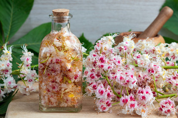 Preparation of herbal tincture from horse chestnut blossoms