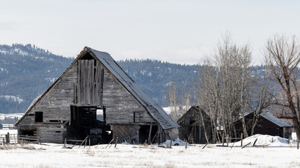 Country rural farm barn in the snow with mountains and trees in the background