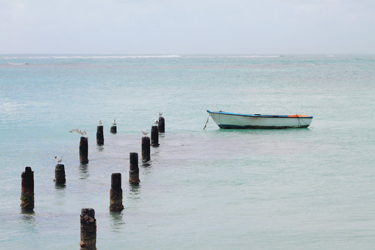 Support of destroyed pier, seagulls and boat. Anse de Sent-An, Pointe-a-Pitre, Guadeloupe