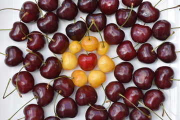 Italy, Puglia region. Big fresh cherries typical of the region. Quality called 