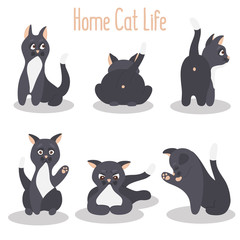 Cat in various poses color flat icons set