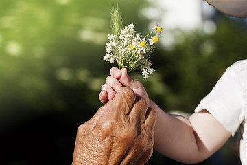 A bouquet of chamomile in the hands of a small child and an old grandmother