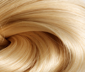  Hair.  Hair Texture