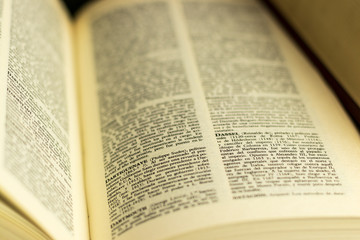 Fototapeta premium Libro