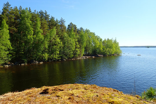Finnish summer landscape