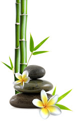 Fototapeta na wymiar Stacked pebbles, frangipani flowers and bamboo stem and leaves