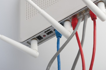 Network cables connected to the router. Network Communications