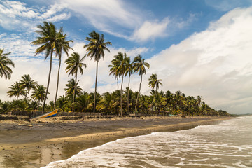 Obraz premium Beautiful beaches, Cojimies Ecuador