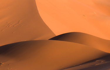 curved waves of dunes in Sahara desert in Morocco