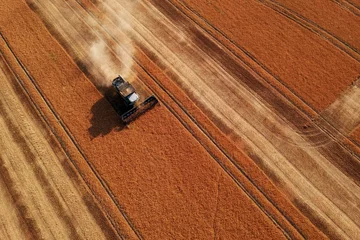 Schilderijen op glas Summer view of combine harvester machine, in the romanian fields. Aerial view of harvesters © alexionutcoman