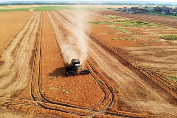 Summer view of combine harvester machine, in the romanian fields. Aerial view of harvesters