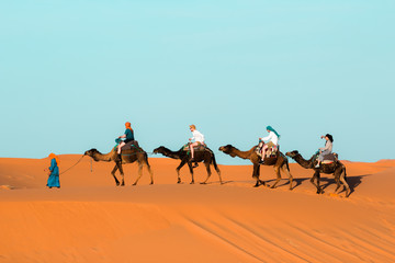 Camel caravan going through the sand dunes in the Sahara Desert. Morocco Africa. Beautiful sand dunes in the Sahara desert.