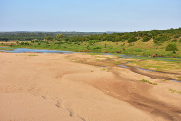 Fototapeta na wymiar Letaba river in Kruger National park in South Africa