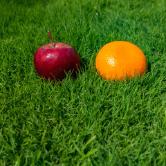 apple and mandarin on green grass