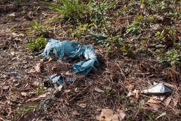 Plastic bag pollutes nature