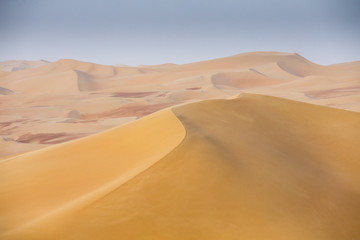 Fototapeta na wymiar landscape of Liwa desert, part of the Empty Quarter desert