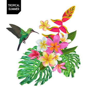Summer Tropical Design with Hummingbird and Exotic Flowers. Floral Background with Tropic Bird, Plumeria and Monstera Palm Leaves. Vector illustration