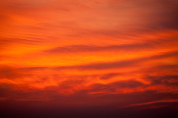Beautiful summer sunset