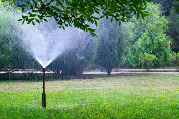 Old sprinkler watering lawn in garden.