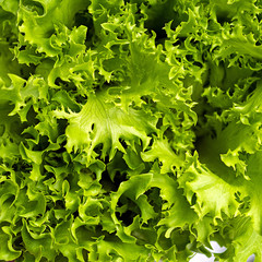 Green vegetables flat lay concept. lettuce salad top view.