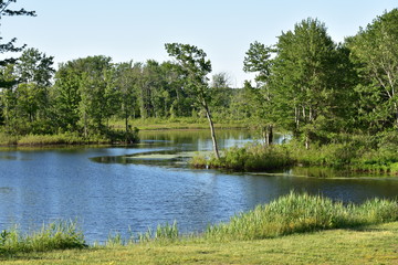 Fototapeta na wymiar Lake Water Or Pond And Trees