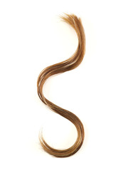Brown hair swatch curl on a white background