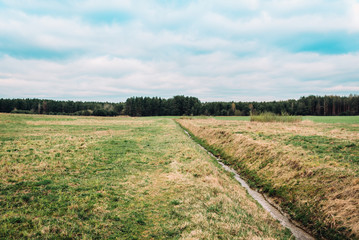 Spring green fields in Belarus. Sunset landscape. Outdoor countryside meadow grass nature. Rural grass field landscape.