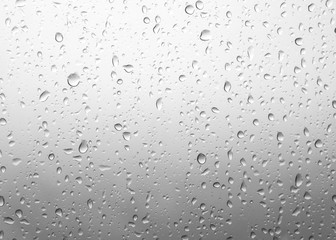 beautiful Drops of rain on green glass background