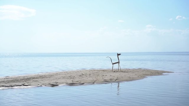 A wooden animal sticks on a sandy island in the middle of the water. Abstract summer video concept.
