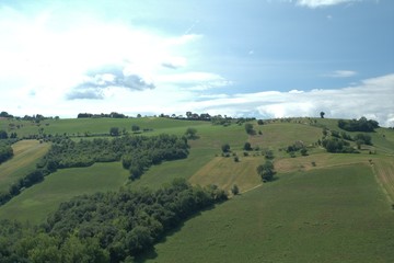 Fototapeta na wymiar collina,Italia,campi,agricoltura,paesaggio,verde,panorama,veduta