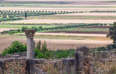 Volubilis is a ruined Amazigh, then Roman city in Morocco near Mekne