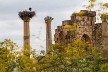 Volubilis is a ruined Amazigh, then Roman city in Morocco near Mekne