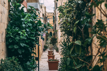 Obraz premium Street view in Birgu, Malta