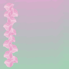 mint green gradient pink purple purple background with pink flowers edging on the left edge petals vector gentle background greeting card invitation