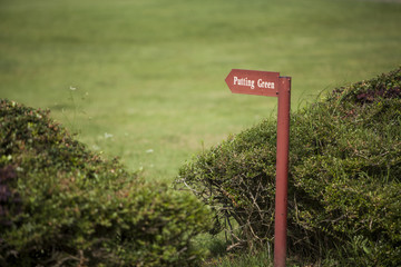 signpost of patter green