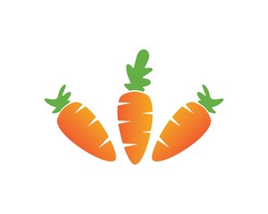 carrot ilustration logo vector