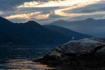 Fototapeta na wymiar Rocky island with birds during a striking and beautiful sunset. Taken in Howe Sound, North of Vancouver, British Columbia, Canada.