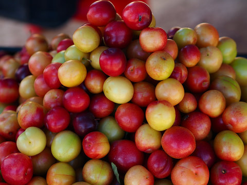 red and yellow plums