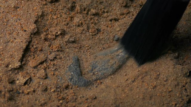 Excavating Dinosaur Claw Fossil
