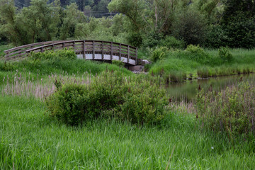 Wooden bridge across a river. Taken in Willband Creek Park, Abbotsford, British Columbia, Canada.