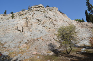 pine landscape mountaines athens panorama