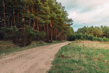 Obraz premium Spring landscape of forest path on sunset in Belarus.