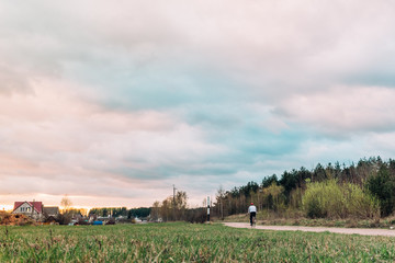 Fototapeta na wymiar Spring landscape of forest path on sunset in Belarus.