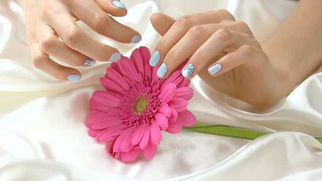 Pink gerbera and young manicured hands. Female hands with beautiful blue manicure touching gentle flower on white silk background. Womanhood and tidiness concept.