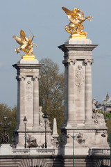 Fototapeta na wymiar Alexander's third bridge in Paris